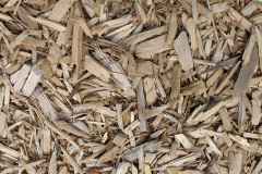 biomass boilers Trellech